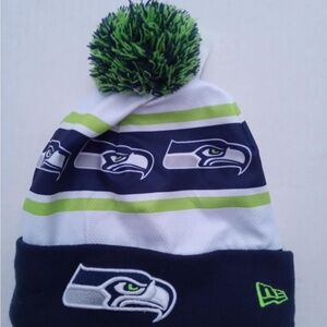 NFL Blue and Green Seahawks Beanie